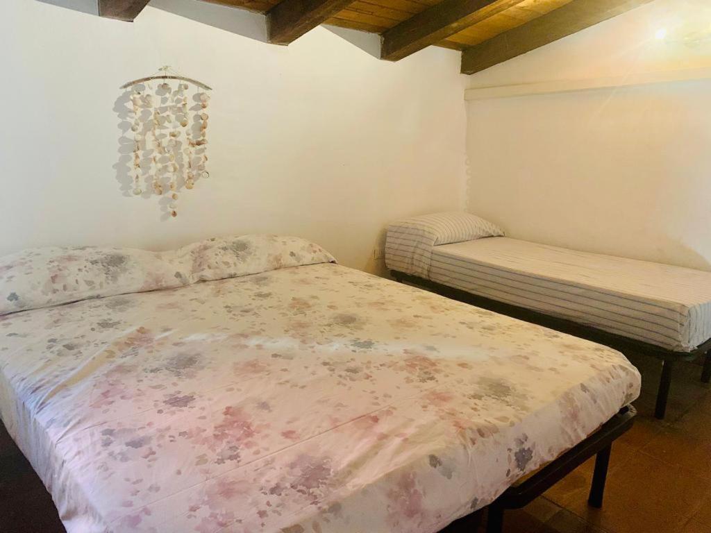 Appartamento I Geranei Centro San Teodoro  Buitenkant foto